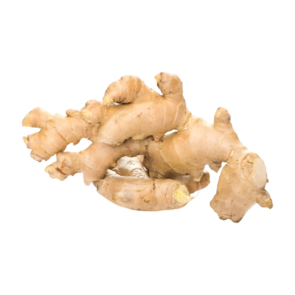 Racine de gingembre frais utilisée pour la boisson bio MATAHI, ingrédient naturel aux vertus tonifiantes et goût intense.